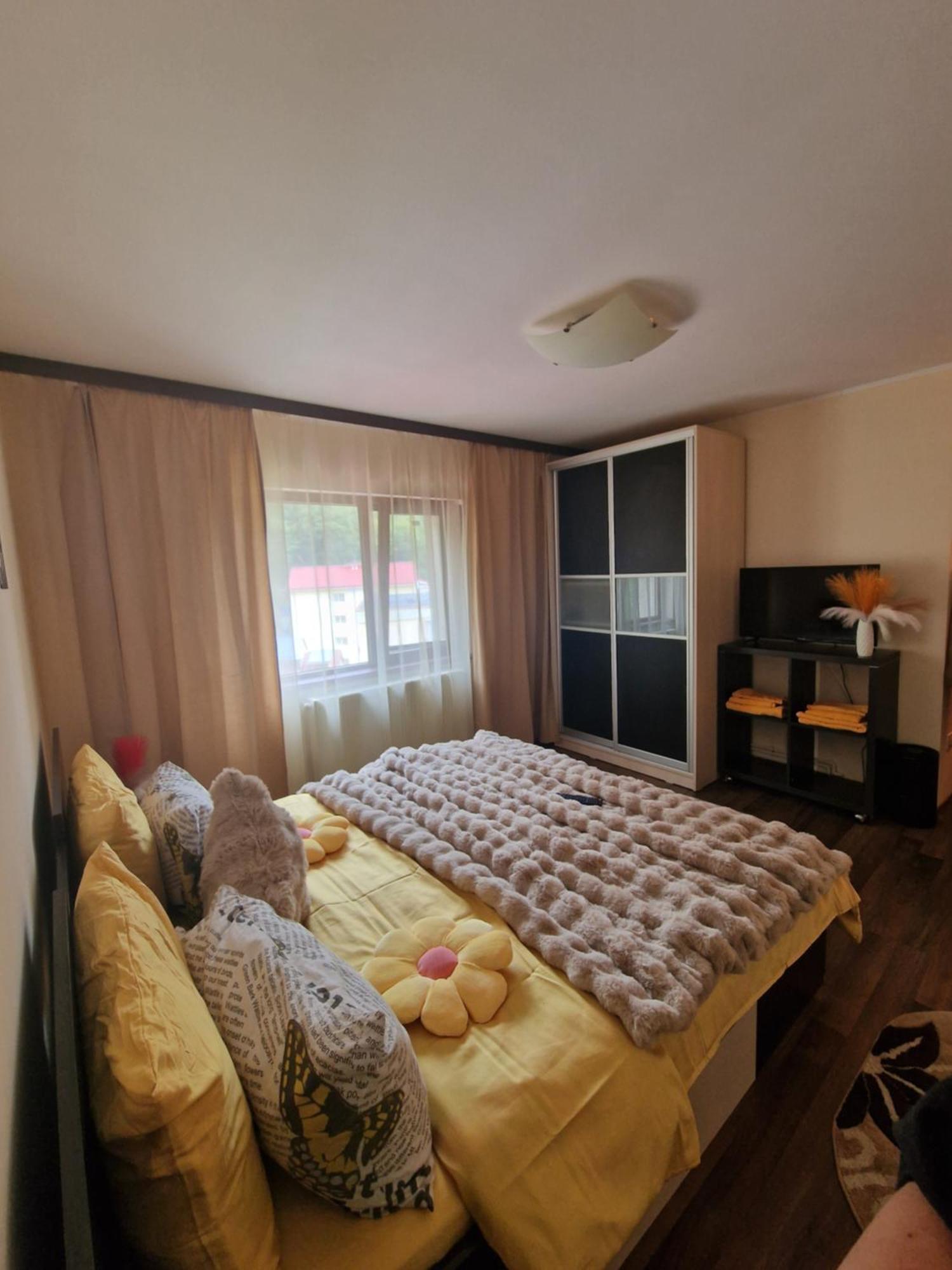 Apartament Red & Yellow 슬래닉몰도바 외부 사진